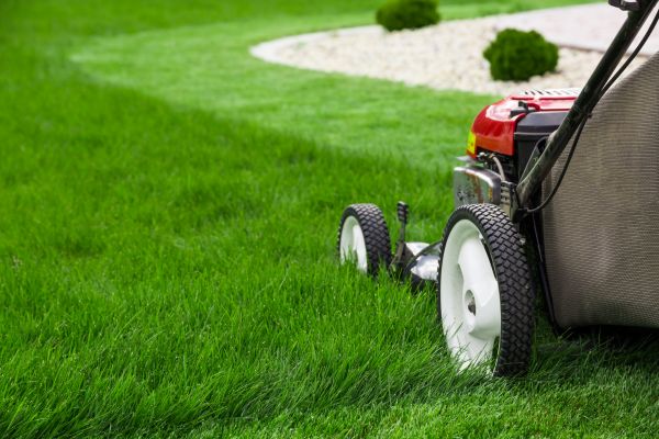 Lawn Cutting Service in Norristown