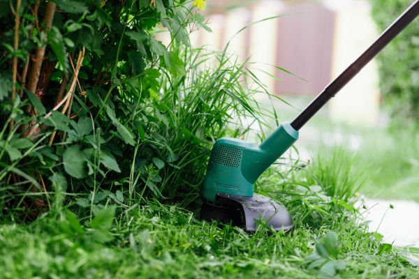 Weed Whacking in Norristown