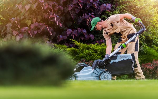 Yard Care Service in Norristown