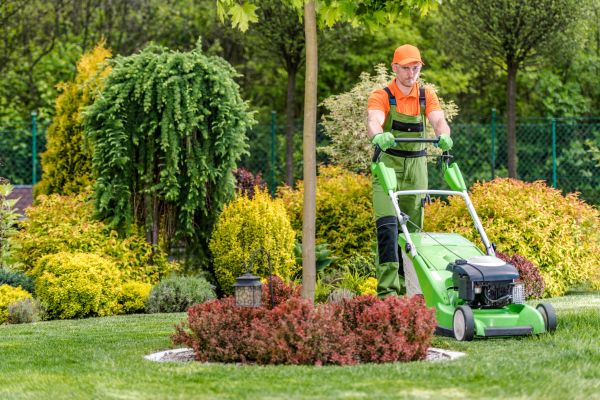 Yard Service in Norristown