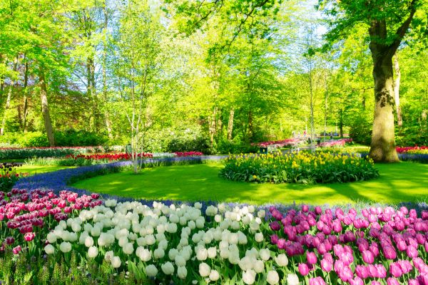 Spring Lawn Care in Norristown