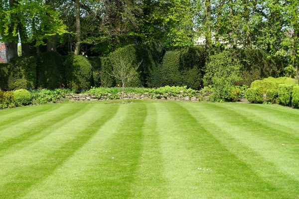 Grass Care Service in Norristown