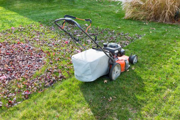 Seasonal Lawn Care in Norristown