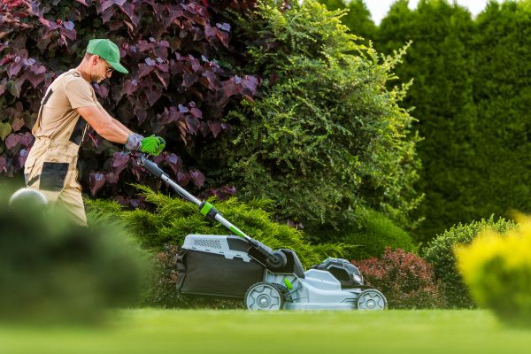 Lawn Management in Norristown