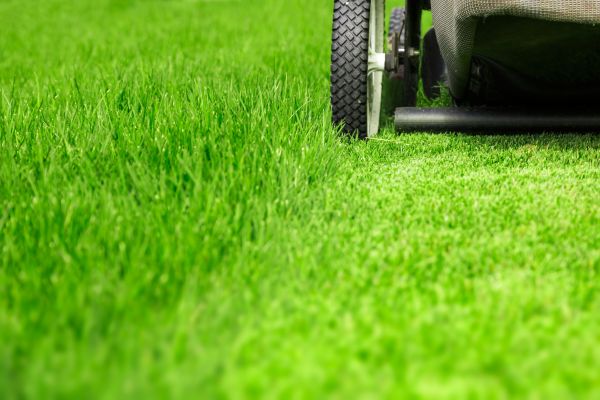 Weekly Lawn Care in Norristown