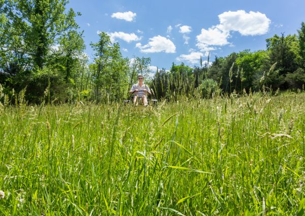 Cost of Long Grass Mowing in Norristown