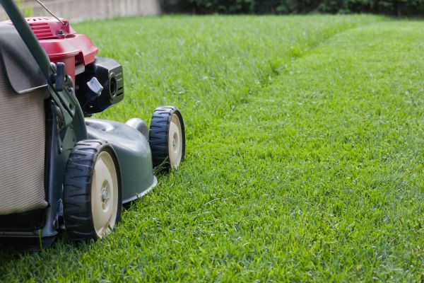 Summer Lawn Care in Norristown