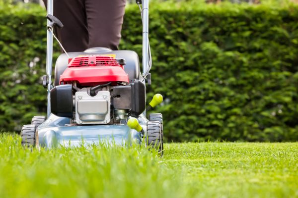 Grass Trimming Service in Norristown