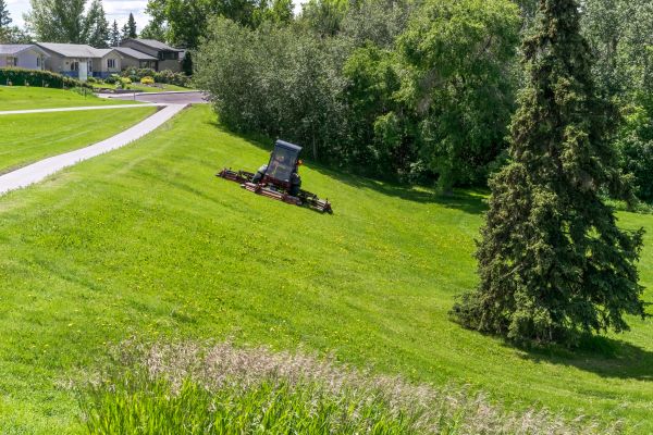 Hill Mowing in Norristown