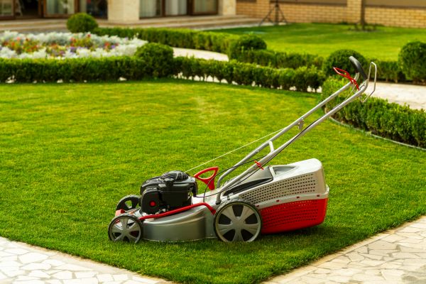 Business Grass Cutting in Norristown
