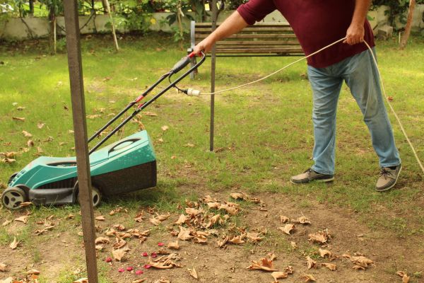 Cost of Leaves Mowing in Norristown
