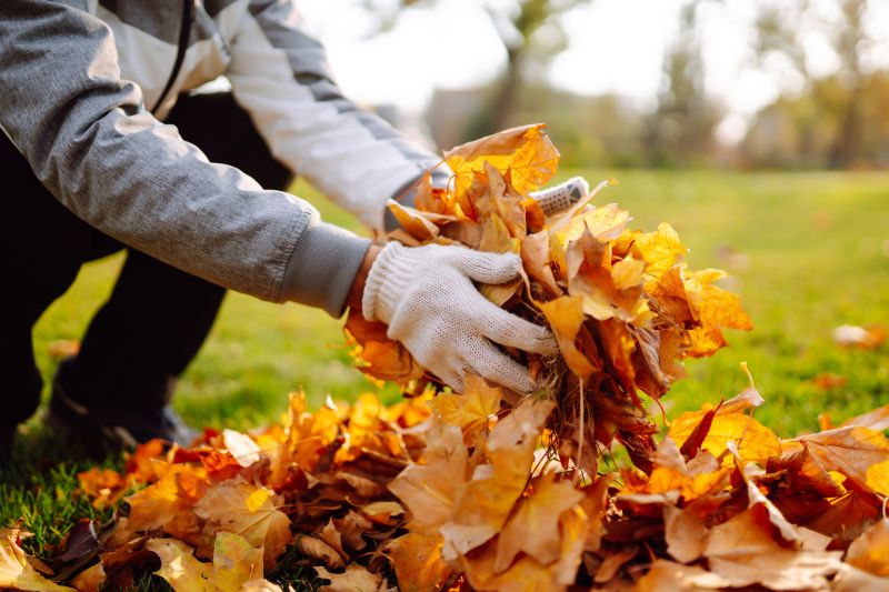 Gathering Fall Leaves