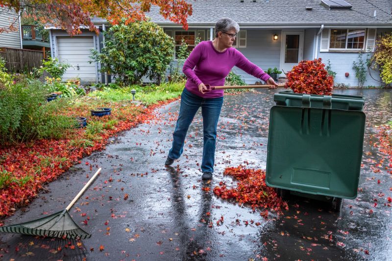 Removing Wet Leaves