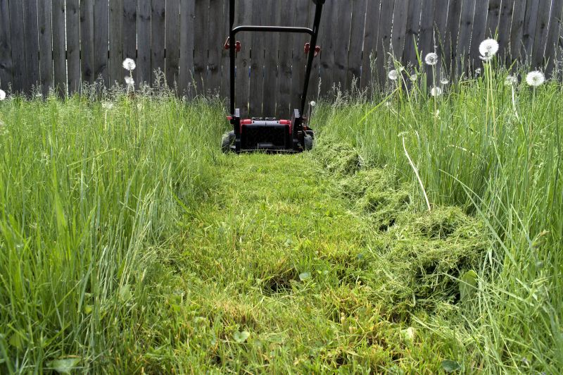 Lawn with Even Cut