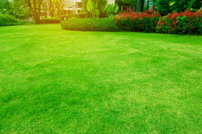 Landscape with Mowed Lawn