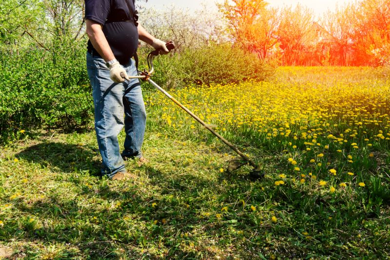 Tall Grass Trimming